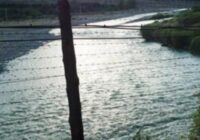 Թուրքիայի քաղաքացին ապօրինի հատել է ՀՀ սահմանը. բռնվել ՌԴ սահմանապահների կողմից. Aravot.am