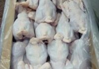 Կերերի 30 տոկոսը եւ ամենամատչելի սառեցրած թռչնամիսը Հայաստանն Ուկրաինայից էր ներմուծում. գները կարող են աճել￼