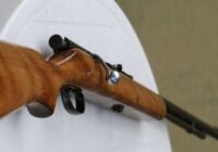 Քաղաքացին կարող է 21 տարեկանից ձեռք բերել քաղաքացիական զենք՝ առանց փամփուշտների քանակի սահմանափակման․ օրինագիծ￼