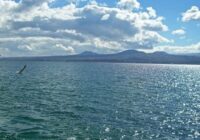 10 օր առաջ Սևանա լճում կորած քաղաքացիների որոնողական աշխատանքները վերսկսվել են￼