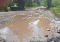 Տուրիստական Դիլիջանը՝ թափառող անասուններով, անտեր,ագրեսիվ շներով, մեծ փոսերով, աղբով￼