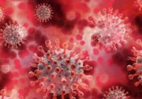 COVID-19 համավարակի հավանական աղբյուրը Չինաստանի Հուանան շուկայում վաճառվող կենդանիներն էին. հետազոտություն￼