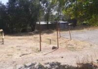 Սևանա լճի մակարդակը դեկտեմբերի 4-10-ն իջել է 1սմ-ով