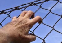 2022թ. առաջին ութ ամիսներին Թուրքիայի բանտերում մահացել է մոտ 50 բանտարկյալ. իրավապաշտպան կազմակերպություն￼