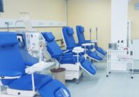 Կատուները կարող են օգնել մարդու քաղցկեղի բուժման նոր մոտեցումներ գտնելու հարցում