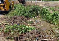 Հաստատվեց գյուղատնտեսական համատարած հաշվառման ծրագիրը. հաշվառումը կանցկացվի հոկտեմբերի 11-31-ին