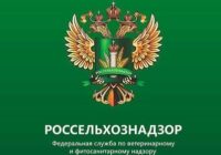 «Ռոսսելխոզնադզորը» Հայաստանին առաջարկել է դադարեցնել կաթնամթերքի մատակարարումը ՌԴ
