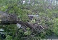 Կարկուտի հետևանքով միայն գյուղատնտեսության ոլորտում Գորիսը 196 մլն դրամի վնաս է կրել. համայնքապետարան