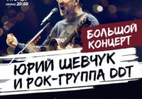 ДДТ в Ереване