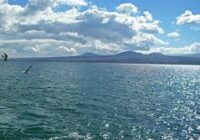 ՆԳ նախարարը հետևել է Սևանի ջրափրկարարական ջոկատի վարչական նոր համալիրի շինաշխատանքներին․ ամփոփվել է ՆԳՆ Գեղարքունիքի մարզի ծառայությունների 2025 թվականի առաջին կիսամյակի աշխատանքը