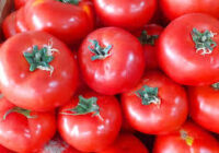 Ոչ թե արգելել են, այլ խնդրել. Ռոսսելխոզնադզորը` հայկական լոլիկի և խնձորի մասին