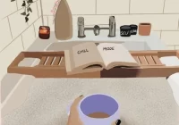 Ծուլություն. օգտագործման հրահանգներ