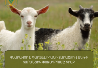 ՀՆԱՐԱՎՈՐ Է ԴԱՐՁԵԼ ԻՐԱՆԻ ՏԱՐԱԾՔՈՎ ՄԵԿ-Ի ՏԱՐԱՆՑԻԿ ՓՈԽԱԴՐՈՒՄԸ ԻՐԱՔ