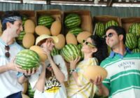 Այսօր տոնում ենք Ընկերության միջազգային օրը