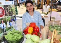 ՄԱԿ-ի Պարենի և գյուղատնտեսության կազմակերպությունը նշում է իր 80-ամյակը՝ ընդգծելով Հայաստանում գյուղական կյանքի կարևորությունը