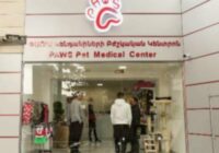 Կենդանասե՞ր ես, ուրեմն շտապիր «ՓԱՈւՍ». Տեսանյութ