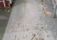 ՍՈՒՇԻԻ ԱՐՏԱԴՐԱՄԱՍԻ ԱՐՏԱԴՐԱԿԱՆ ԳՈՐԾՈՒՆԵՈՒԹՅՈՒՆԸ ԿԱՍԵՑՎԵԼ Է